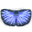 Plasma Wings