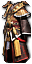 Goldene Kleidung+9