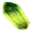 Blut der Toten