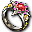 Ring der Krieger