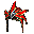 Dragonierhut+0