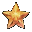 Seestern (Orange)
