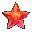 Seestern (Rot)